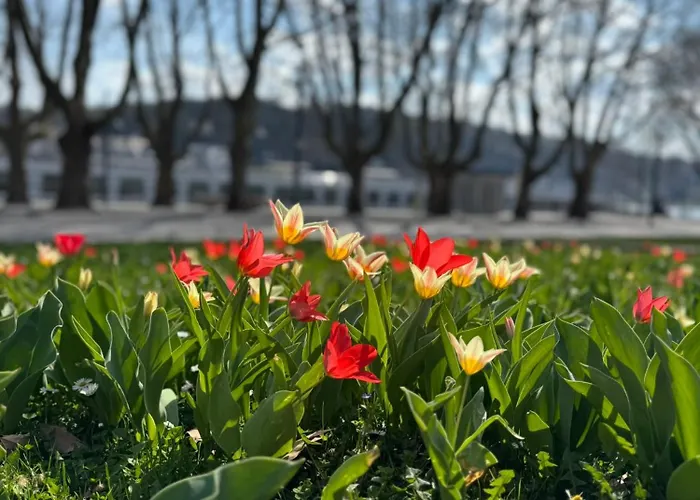 アパート Rheinloft - Balkon & Parkplatz 