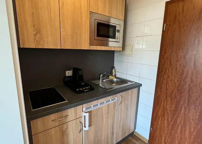 アパート Rheinloft - Balkon & Parkplatz 