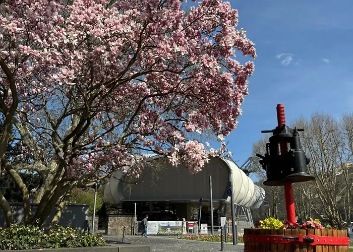 Rheinloft - Balkon & Parkplatz 